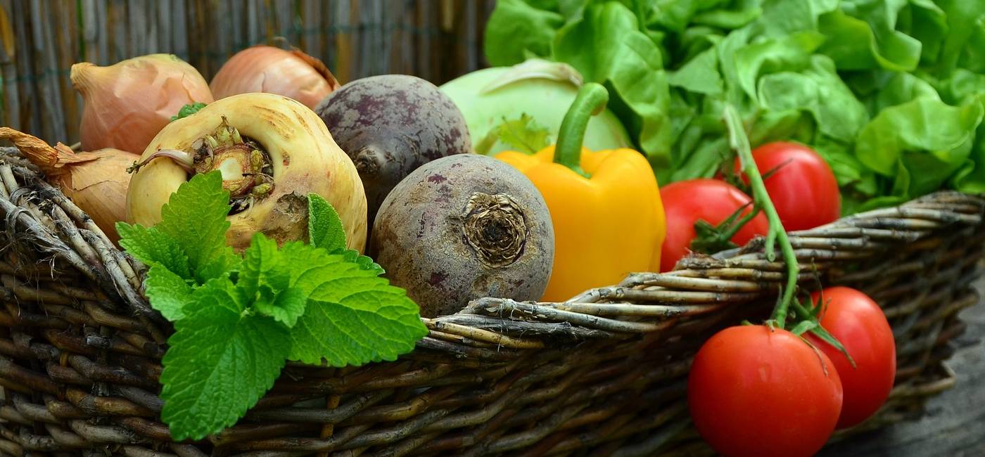 Recomandari de ingrasamant organic pentru legume de gradina sau solar